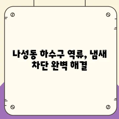 세종시 세종특별자치시 나성동 하수구막힘 | 가격 | 비용 | 기름제거 | 싱크대 | 변기 | 세면대 | 역류 | 냄새차단 | 2024 후기