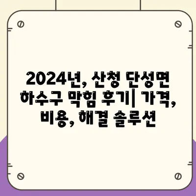 경상남도 산청군 단성면 하수구막힘 | 가격 | 비용 | 기름제거 | 싱크대 | 변기 | 세면대 | 역류 | 냄새차단 | 2024 후기