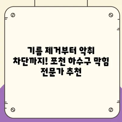 경기도 포천시 신북면 하수구막힘 | 가격 | 비용 | 기름제거 | 싱크대 | 변기 | 세면대 | 역류 | 냄새차단 | 2024 후기