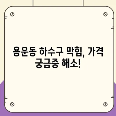 대전시 동구 용운동 하수구막힘 | 가격 | 비용 | 기름제거 | 싱크대 | 변기 | 세면대 | 역류 | 냄새차단 | 2024 후기