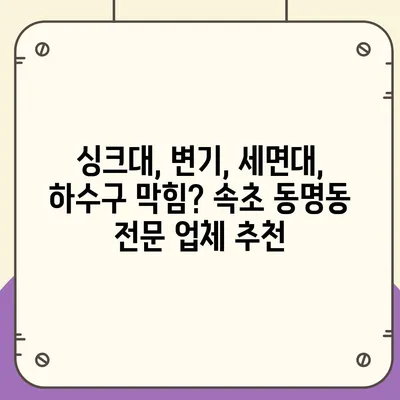 강원도 속초시 동명동 하수구막힘 | 가격 | 비용 | 기름제거 | 싱크대 | 변기 | 세면대 | 역류 | 냄새차단 | 2024 후기