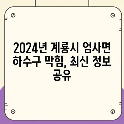 충청남도 계룡시 엄사면 하수구막힘 | 가격 | 비용 | 기름제거 | 싱크대 | 변기 | 세면대 | 역류 | 냄새차단 | 2024 후기