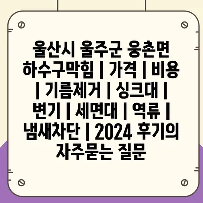 울산시 울주군 웅촌면 하수구막힘 | 가격 | 비용 | 기름제거 | 싱크대 | 변기 | 세면대 | 역류 | 냄새차단 | 2024 후기