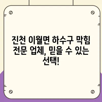 충청북도 진천군 이월면 하수구막힘 | 가격 | 비용 | 기름제거 | 싱크대 | 변기 | 세면대 | 역류 | 냄새차단 | 2024 후기