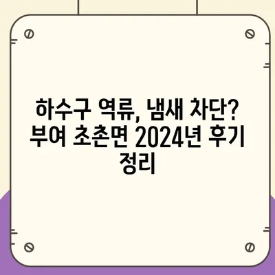 충청남도 부여군 초촌면 하수구막힘 | 가격 | 비용 | 기름제거 | 싱크대 | 변기 | 세면대 | 역류 | 냄새차단 | 2024 후기