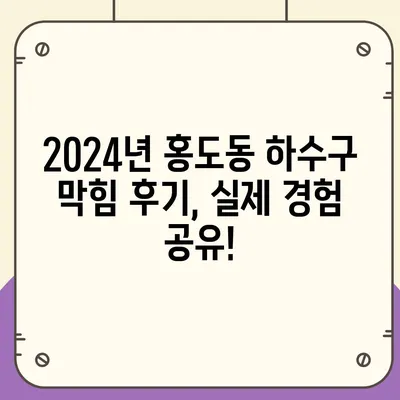 대전시 동구 홍도동 하수구막힘 | 가격 | 비용 | 기름제거 | 싱크대 | 변기 | 세면대 | 역류 | 냄새차단 | 2024 후기