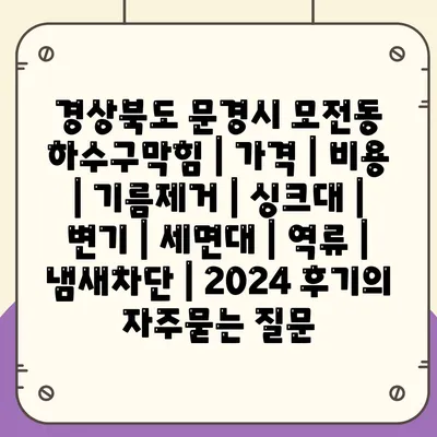 경상북도 문경시 모전동 하수구막힘 | 가격 | 비용 | 기름제거 | 싱크대 | 변기 | 세면대 | 역류 | 냄새차단 | 2024 후기