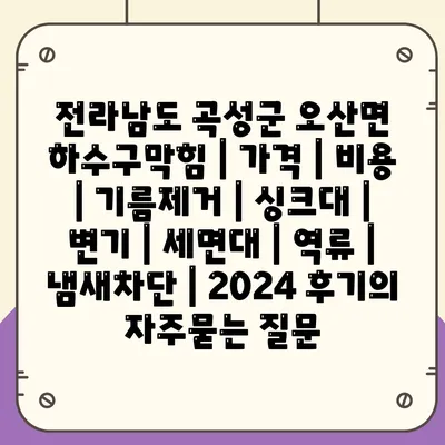 전라남도 곡성군 오산면 하수구막힘 | 가격 | 비용 | 기름제거 | 싱크대 | 변기 | 세면대 | 역류 | 냄새차단 | 2024 후기