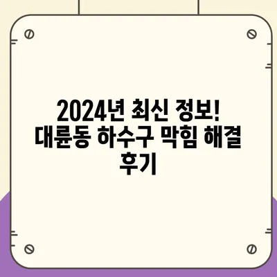 제주도 서귀포시 대륜동 하수구막힘 | 가격 | 비용 | 기름제거 | 싱크대 | 변기 | 세면대 | 역류 | 냄새차단 | 2024 후기