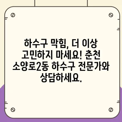 강원도 춘천시 소양로2동 하수구막힘 | 가격 | 비용 | 기름제거 | 싱크대 | 변기 | 세면대 | 역류 | 냄새차단 | 2024 후기