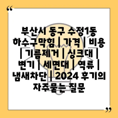 부산시 동구 수정1동 하수구막힘 | 가격 | 비용 | 기름제거 | 싱크대 | 변기 | 세면대 | 역류 | 냄새차단 | 2024 후기