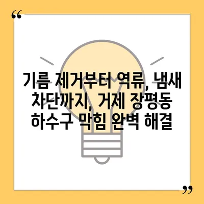 경상남도 거제시 장평동 하수구막힘 | 가격 | 비용 | 기름제거 | 싱크대 | 변기 | 세면대 | 역류 | 냄새차단 | 2024 후기