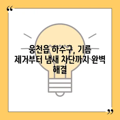 충청남도 보령시 웅천읍 하수구막힘 | 가격 | 비용 | 기름제거 | 싱크대 | 변기 | 세면대 | 역류 | 냄새차단 | 2024 후기