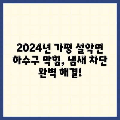 경기도 가평군 설악면 하수구막힘 | 가격 | 비용 | 기름제거 | 싱크대 | 변기 | 세면대 | 역류 | 냄새차단 | 2024 후기