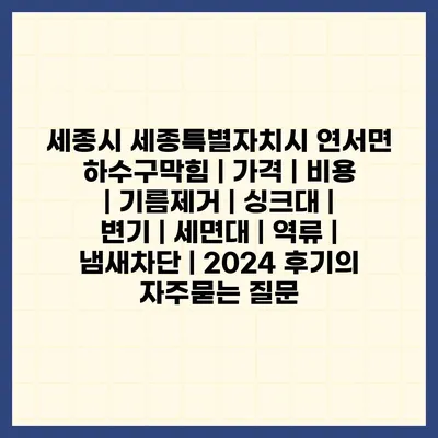 세종시 세종특별자치시 연서면 하수구막힘 | 가격 | 비용 | 기름제거 | 싱크대 | 변기 | 세면대 | 역류 | 냄새차단 | 2024 후기