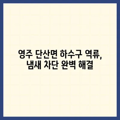 경상북도 영주시 단산면 하수구막힘 | 가격 | 비용 | 기름제거 | 싱크대 | 변기 | 세면대 | 역류 | 냄새차단 | 2024 후기