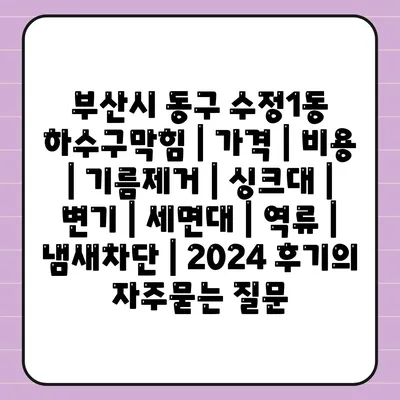 부산시 동구 수정1동 하수구막힘 | 가격 | 비용 | 기름제거 | 싱크대 | 변기 | 세면대 | 역류 | 냄새차단 | 2024 후기