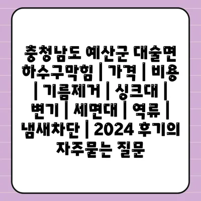 충청남도 예산군 대술면 하수구막힘 | 가격 | 비용 | 기름제거 | 싱크대 | 변기 | 세면대 | 역류 | 냄새차단 | 2024 후기