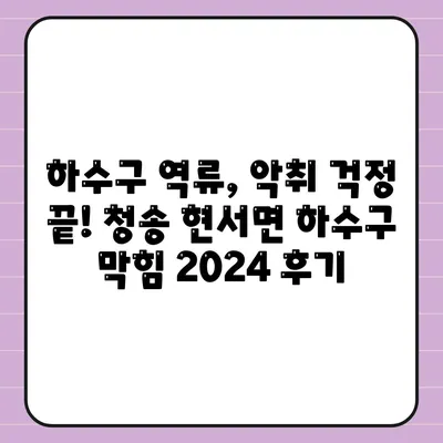 경상북도 청송군 현서면 하수구막힘 | 가격 | 비용 | 기름제거 | 싱크대 | 변기 | 세면대 | 역류 | 냄새차단 | 2024 후기