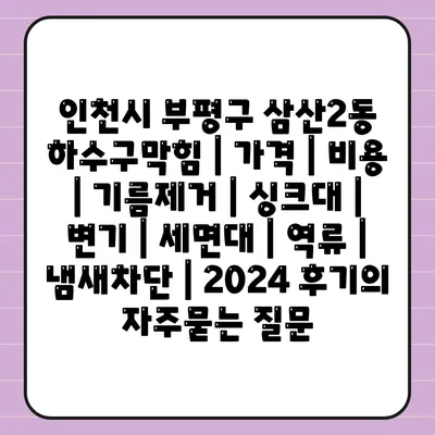 인천시 부평구 삼산2동 하수구막힘 | 가격 | 비용 | 기름제거 | 싱크대 | 변기 | 세면대 | 역류 | 냄새차단 | 2024 후기