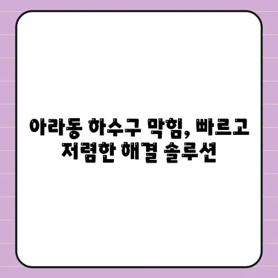 제주도 제주시 아라동 하수구막힘 | 가격 | 비용 | 기름제거 | 싱크대 | 변기 | 세면대 | 역류 | 냄새차단 | 2024 후기