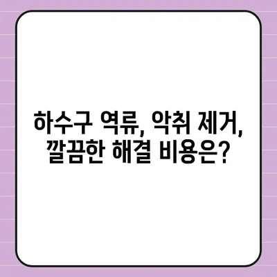 강원도 횡성군 둔내면 하수구막힘 | 가격 | 비용 | 기름제거 | 싱크대 | 변기 | 세면대 | 역류 | 냄새차단 | 2024 후기