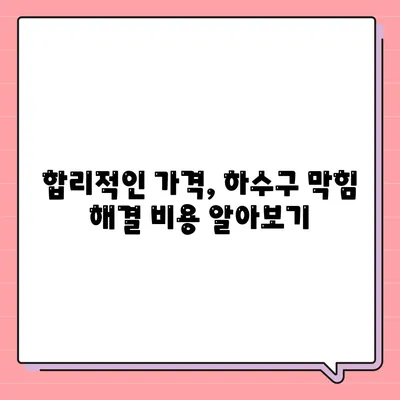 서울시 강서구 등촌제1동 하수구막힘 | 가격 | 비용 | 기름제거 | 싱크대 | 변기 | 세면대 | 역류 | 냄새차단 | 2024 후기