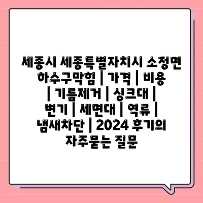 세종시 세종특별자치시 소정면 하수구막힘 | 가격 | 비용 | 기름제거 | 싱크대 | 변기 | 세면대 | 역류 | 냄새차단 | 2024 후기