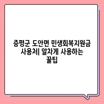 충청북도 증평군 도안면 민생회복지원금 | 신청 | 신청방법 | 대상 | 지급일 | 사용처 | 전국민 | 이재명 | 2024