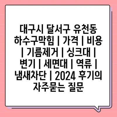 대구시 달서구 유천동 하수구막힘 | 가격 | 비용 | 기름제거 | 싱크대 | 변기 | 세면대 | 역류 | 냄새차단 | 2024 후기