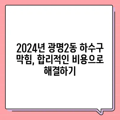 경기도 광명시 광명2동 하수구막힘 | 가격 | 비용 | 기름제거 | 싱크대 | 변기 | 세면대 | 역류 | 냄새차단 | 2024 후기