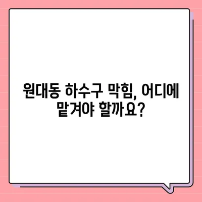 대구시 서구 원대동 하수구막힘 | 가격 | 비용 | 기름제거 | 싱크대 | 변기 | 세면대 | 역류 | 냄새차단 | 2024 후기