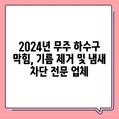 전라북도 무주군 적상면 하수구막힘 | 가격 | 비용 | 기름제거 | 싱크대 | 변기 | 세면대 | 역류 | 냄새차단 | 2024 후기