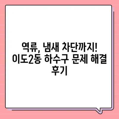 제주도 제주시 이도2동 하수구막힘 | 가격 | 비용 | 기름제거 | 싱크대 | 변기 | 세면대 | 역류 | 냄새차단 | 2024 후기