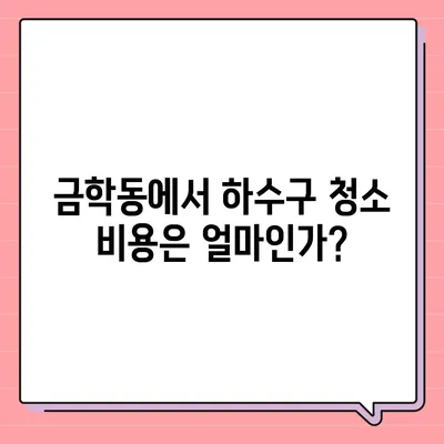 충청남도 공주시 금학동 하수구막힘 | 가격 | 비용 | 기름제거 | 싱크대 | 변기 | 세면대 | 역류 | 냄새차단 | 2024 후기