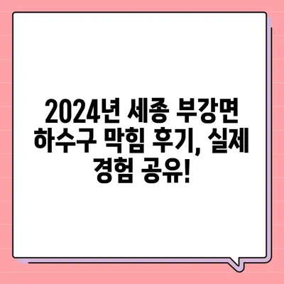 세종시 세종특별자치시 부강면 하수구막힘 | 가격 | 비용 | 기름제거 | 싱크대 | 변기 | 세면대 | 역류 | 냄새차단 | 2024 후기