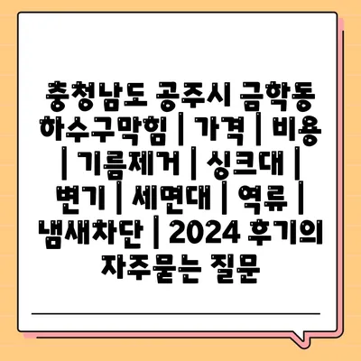 충청남도 공주시 금학동 하수구막힘 | 가격 | 비용 | 기름제거 | 싱크대 | 변기 | 세면대 | 역류 | 냄새차단 | 2024 후기