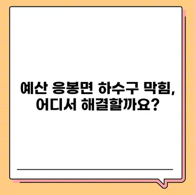 충청남도 예산군 응봉면 하수구막힘 | 가격 | 비용 | 기름제거 | 싱크대 | 변기 | 세면대 | 역류 | 냄새차단 | 2024 후기