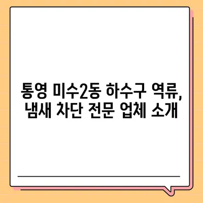 경상남도 통영시 미수2동 하수구막힘 | 가격 | 비용 | 기름제거 | 싱크대 | 변기 | 세면대 | 역류 | 냄새차단 | 2024 후기