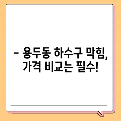 대전시 중구 용두동 하수구막힘 | 가격 | 비용 | 기름제거 | 싱크대 | 변기 | 세면대 | 역류 | 냄새차단 | 2024 후기