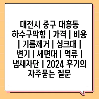 대전시 중구 대흥동 하수구막힘 | 가격 | 비용 | 기름제거 | 싱크대 | 변기 | 세면대 | 역류 | 냄새차단 | 2024 후기