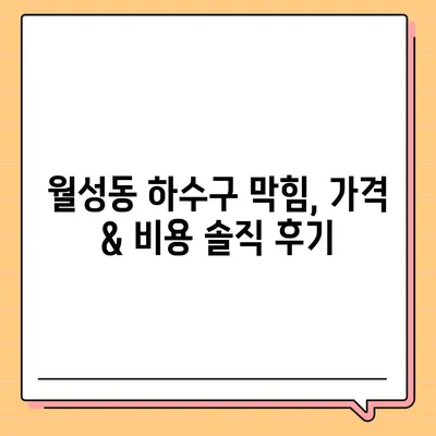 경상북도 경주시 월성동 하수구막힘 | 가격 | 비용 | 기름제거 | 싱크대 | 변기 | 세면대 | 역류 | 냄새차단 | 2024 후기