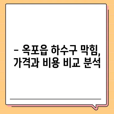 대구시 달성군 옥포읍 하수구막힘 | 가격 | 비용 | 기름제거 | 싱크대 | 변기 | 세면대 | 역류 | 냄새차단 | 2024 후기