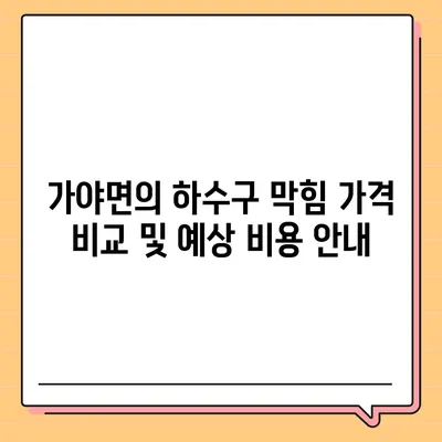 경상남도 합천군 가야면 하수구막힘 | 가격 | 비용 | 기름제거 | 싱크대 | 변기 | 세면대 | 역류 | 냄새차단 | 2024 후기