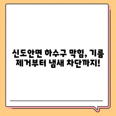 충청남도 계룡시 신도안면 하수구막힘 | 가격 | 비용 | 기름제거 | 싱크대 | 변기 | 세면대 | 역류 | 냄새차단 | 2024 후기