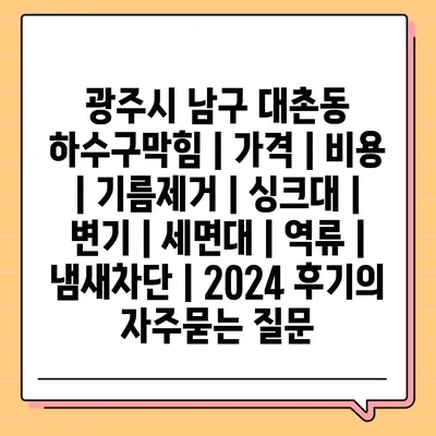 광주시 남구 대촌동 하수구막힘 | 가격 | 비용 | 기름제거 | 싱크대 | 변기 | 세면대 | 역류 | 냄새차단 | 2024 후기