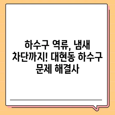 대구시 북구 대현동 하수구막힘 | 가격 | 비용 | 기름제거 | 싱크대 | 변기 | 세면대 | 역류 | 냄새차단 | 2024 후기