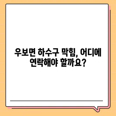 대구시 군위군 우보면 하수구막힘 | 가격 | 비용 | 기름제거 | 싱크대 | 변기 | 세면대 | 역류 | 냄새차단 | 2024 후기