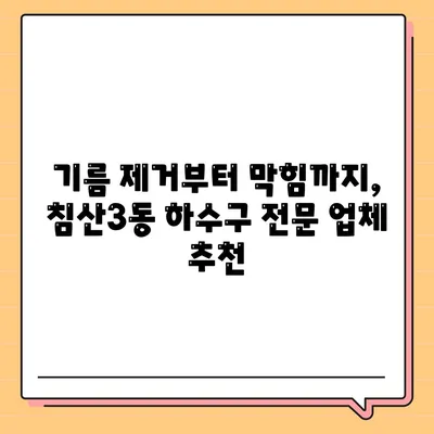 대구시 북구 침산3동 하수구막힘 | 가격 | 비용 | 기름제거 | 싱크대 | 변기 | 세면대 | 역류 | 냄새차단 | 2024 후기