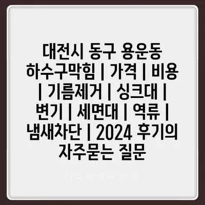 대전시 동구 용운동 하수구막힘 | 가격 | 비용 | 기름제거 | 싱크대 | 변기 | 세면대 | 역류 | 냄새차단 | 2024 후기